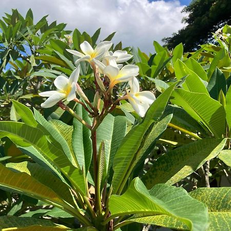Samui Garden Resort バンラック・ビーチ エクステリア 写真