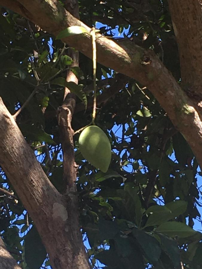 Samui Garden Resort バンラック・ビーチ エクステリア 写真