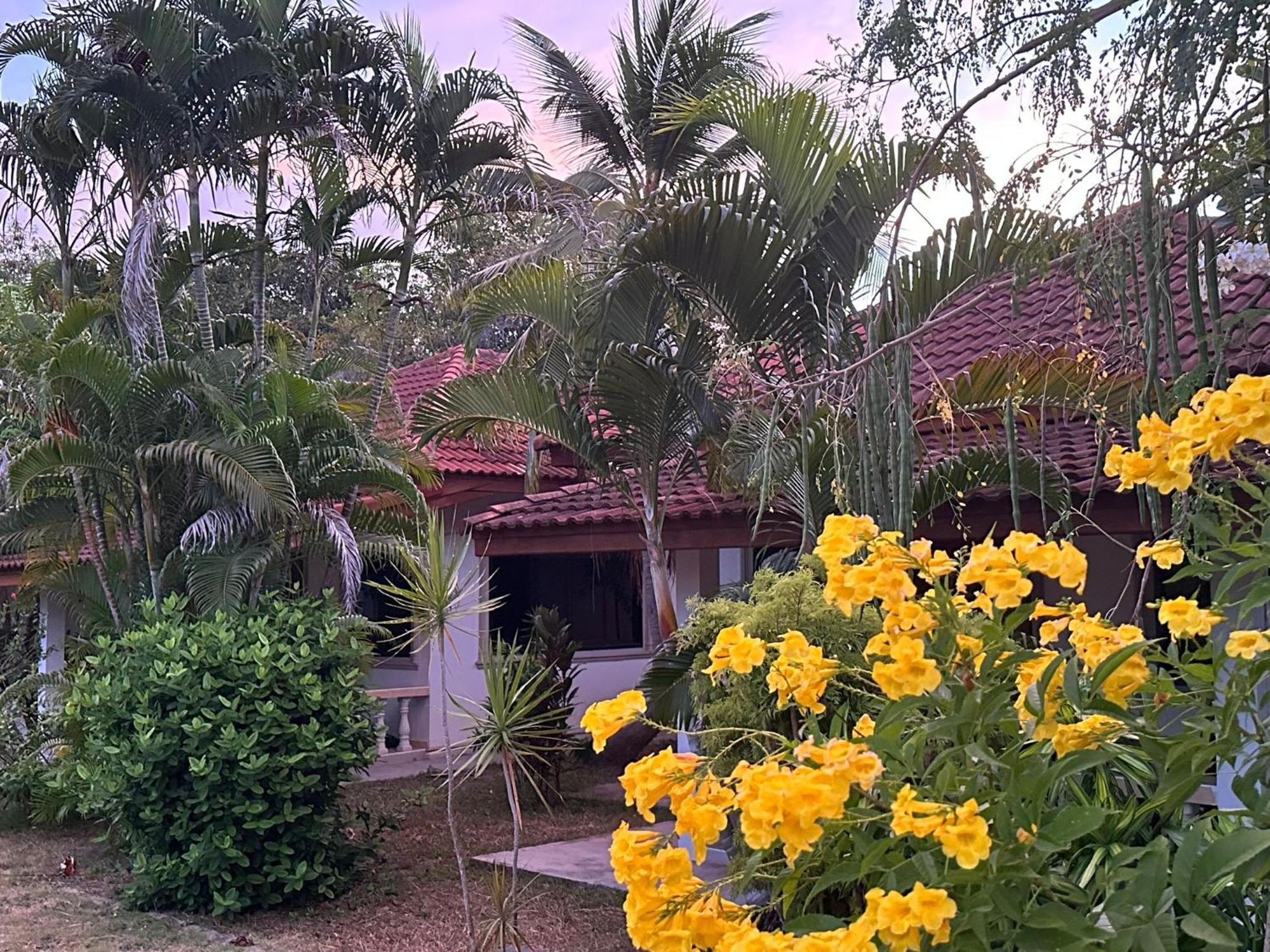 Samui Garden Resort バンラック・ビーチ エクステリア 写真