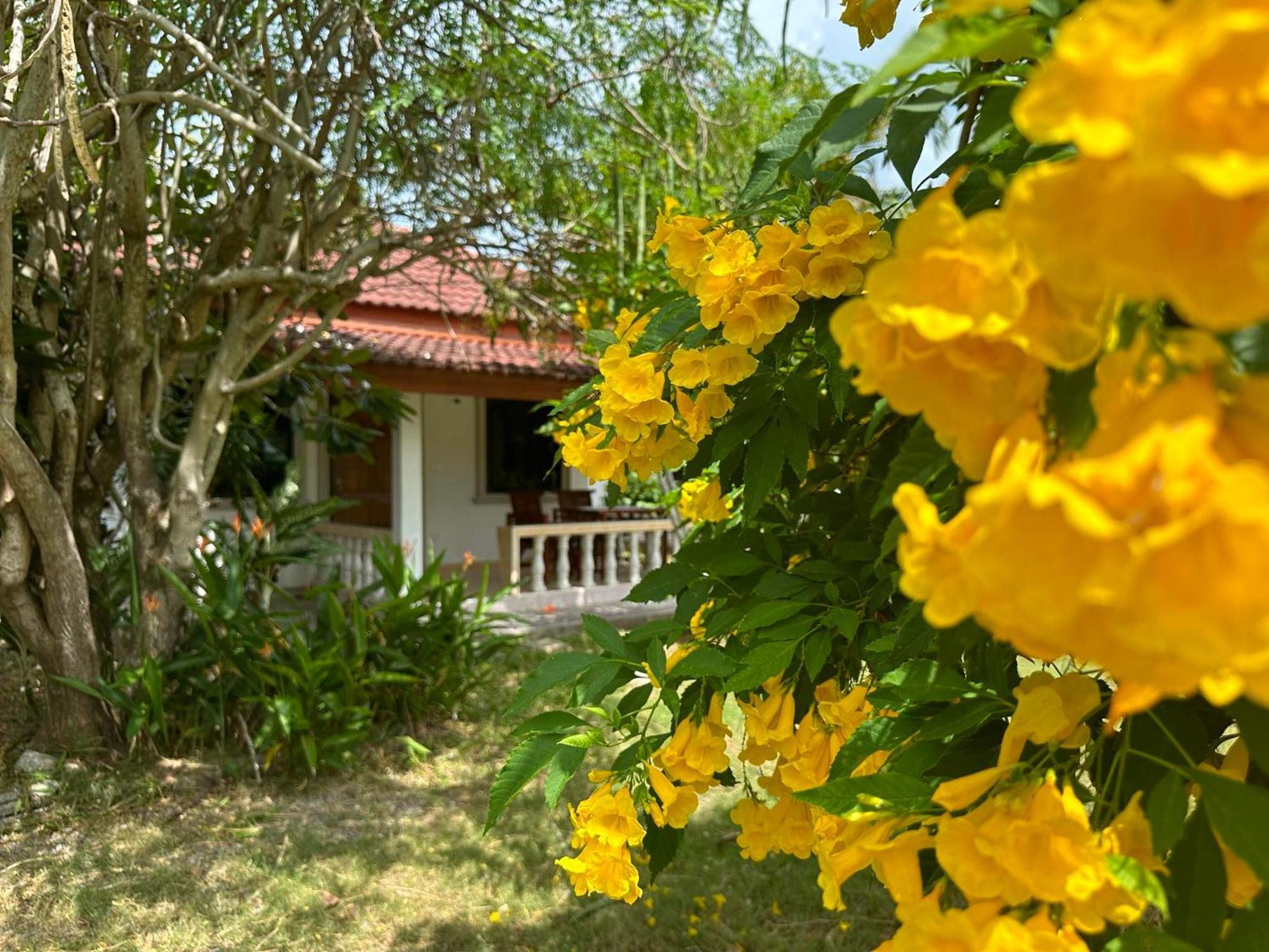 Samui Garden Resort バンラック・ビーチ エクステリア 写真