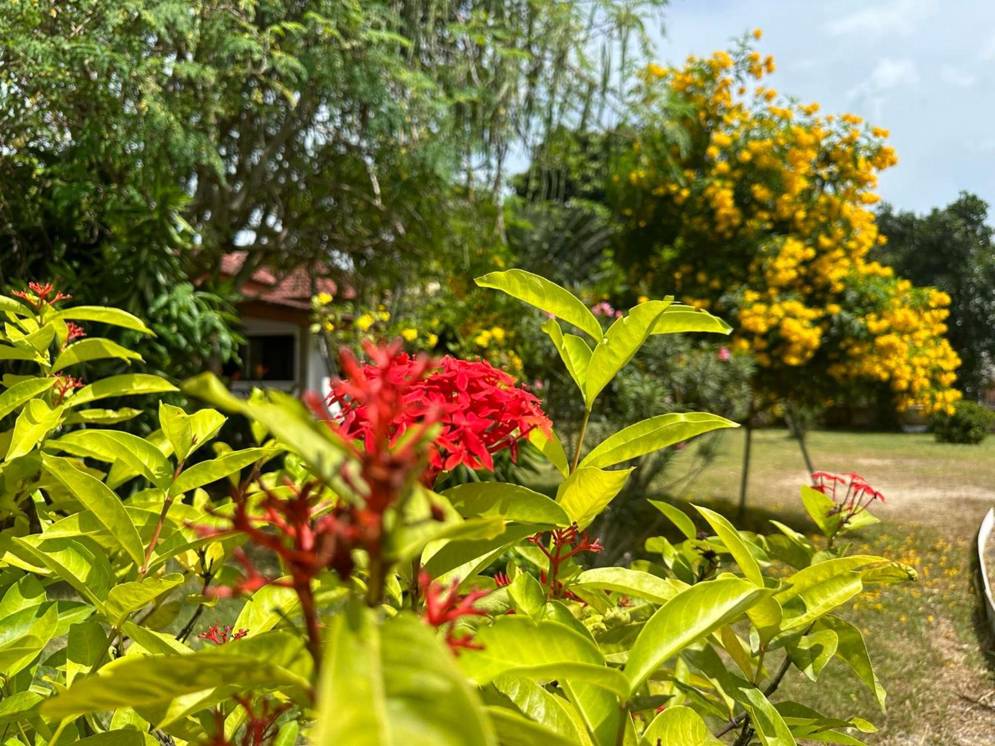 Samui Garden Resort バンラック・ビーチ エクステリア 写真