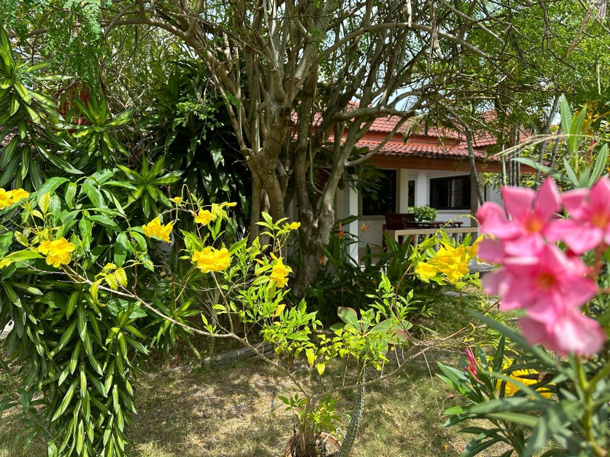 Samui Garden Resort バンラック・ビーチ エクステリア 写真